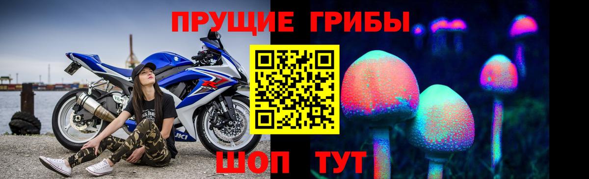 Псилоцибиновые грибы Psilocybine cubensis  Вход с VPN  Галлюциногенные грибы мухоморы  Арсеньев 